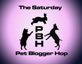 Saturday Pet Blogger Hop