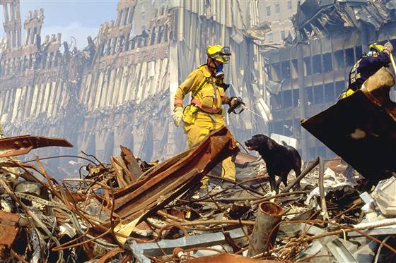 9.11.13-9.11-Hero-Dog.jpg