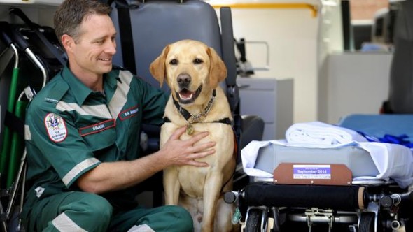 Paramedic Simon Cradock sits in his ambulance with Tango the guide dog.  Source: News Limited 