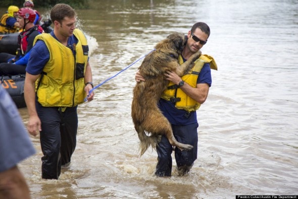 Σώζοντας ένα σκύλο από τις πλημμύρες...