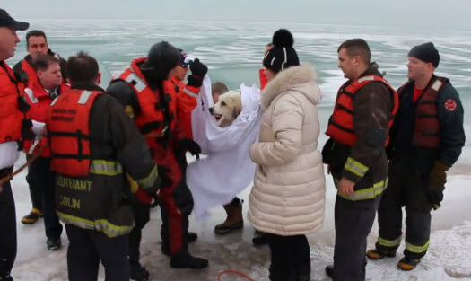 Chicago Fire Department Rescues Dog from Icy Lake Michigan