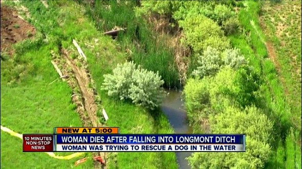 6.11.14 - Woman Gives Her Life to Save Drowning Dog1