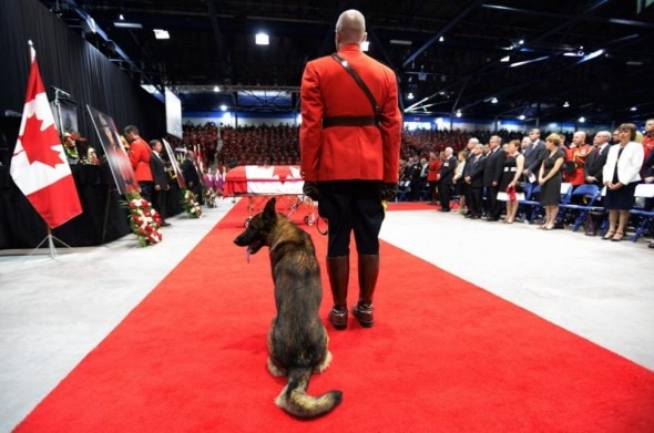 6.12.14 - Canine Partner of Slain Mountie Cries at Funeral2