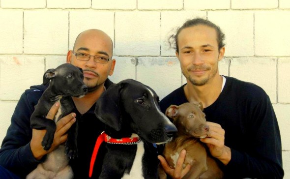 6.14.14 - Man Cashes in 401k to Save Shelter Dogs4