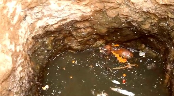 6.18.14 - Indian Community Rescues Drowning Puppy Moments from Death1