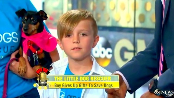 6.27.14 - Kid Saves High-Kill Shelter Dogs for Birthday2
