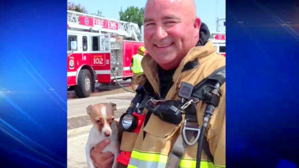 7.13.14 - Firefighter Revives Chihuahua After 30 Minutes of CPR1