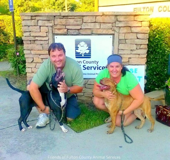 7.27.14 - Dogs Who Found Love at Shelter Get Adopted Together3
