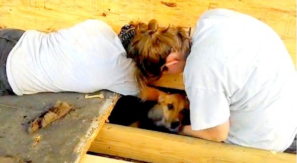 7.30.14 - Humane Society Workers Dig Out Trapped Dog by Hand1