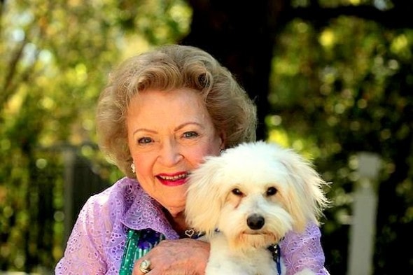 8.15.14 - Dog Rescued & Smooched by Betty White6