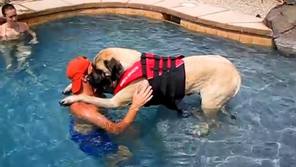 8.17.14 - Sailor Needs Help from Dad to Swim1
