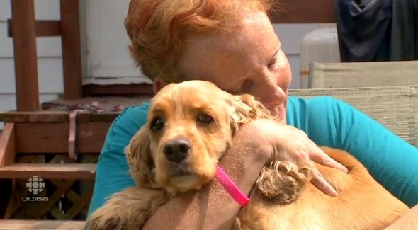 8.20.14 - Heroic Dog Saves Mom from Deadly House Fire