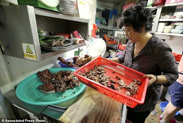 South Korea Dogs Dying Delicacy