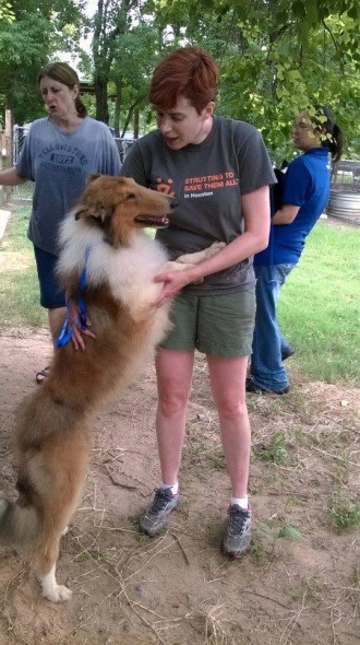 "These collies are starved for love and our wonderful volunteers are happy to oblige." - HCR