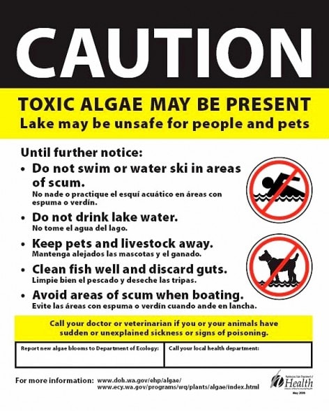 9.12.14 - Blue-Green Algae Causing Dog Deaths7