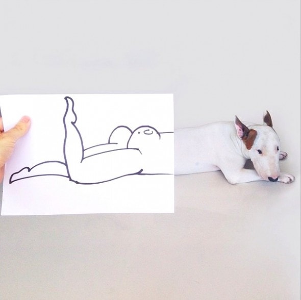 9.17.14 - Jimmy Choo, Wonder Dog14