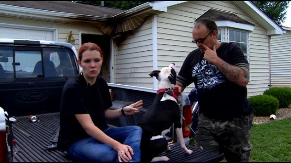9.2.14 - Pit Bull Puppy Saves Mother and Baby from House Fire