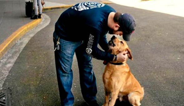 Sgt. Deano Miller and Thor's happy reunion at the Sea-Tac Airport.