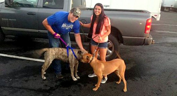 10.22.14 - Trucker Drives Missing Dog over 1,300 Miles Home1