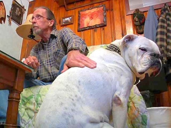 11.13.14 - Senior Dog Saves Vet's Life1
