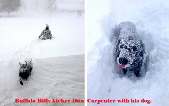 11.21.14 - Buffalo Snow Dogs5