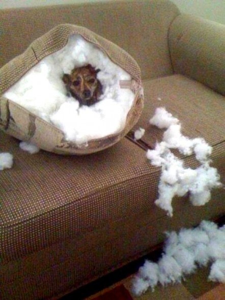 1.7.14 - Well... YOU'RE Home Early...5