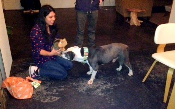 2.25.15 - A Stranger's Quest To Save The Barber's Lonely Dog - Part One10