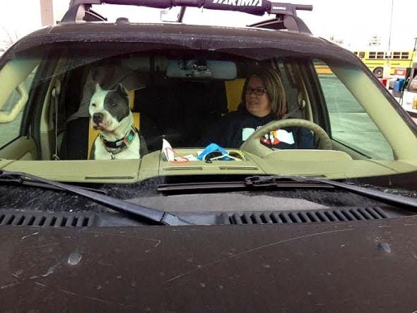 2.25.15 - A Stranger's Quest To Save The Barber's Lonely Dog - Part One11