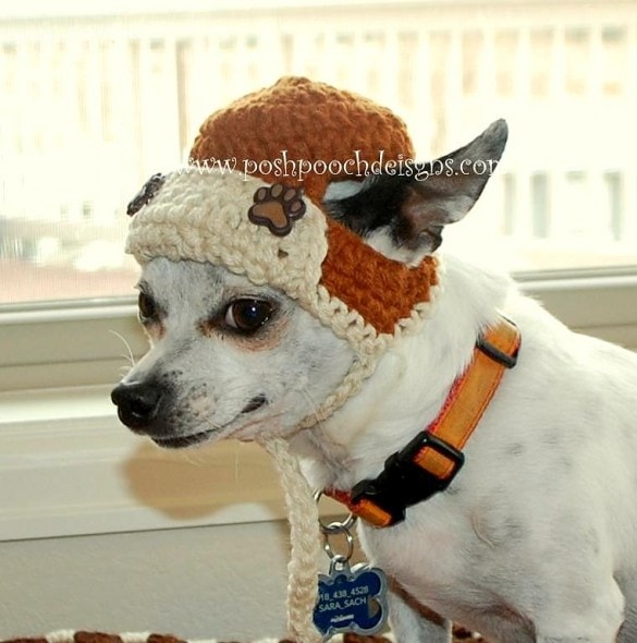 2.26.15 - Dogs Who Are NOT Happy About Their Hats10