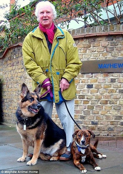 Sewell and his dogs outside the Mayfield Animal Home.
