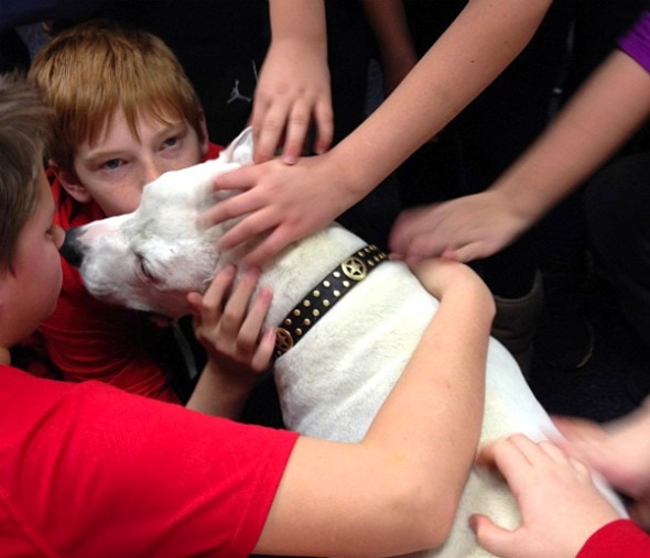 3.5.15 - Beloved Rescue Dog Oogy Has Died6