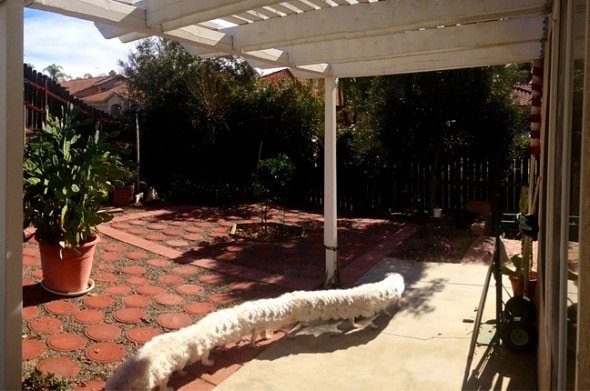 3.6.15 - Panoramic Photos Gone Very, Very Badly22