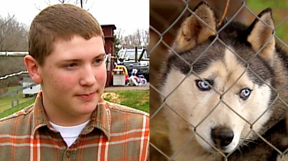 4.23.15 - Teen and His Dog Save Girl from Rabid Fox1