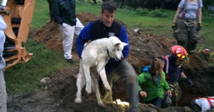Elder Dog Rescued from Underground