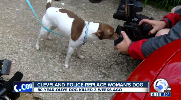 Police Officers Surprise Elderly Woman With Rescue Dog