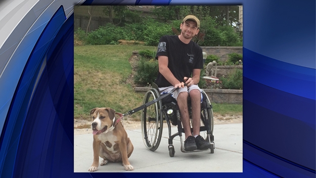 Abused Dog Gets Forever Home with Disabled Marine