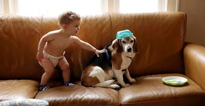 3-Year-Old Sends a Letter to Dog Heaven… and Gets a Reply!