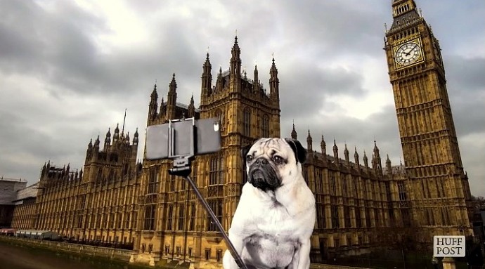Nine Things You Shouldn’t Do on Instagram… Unless You’re a Pug