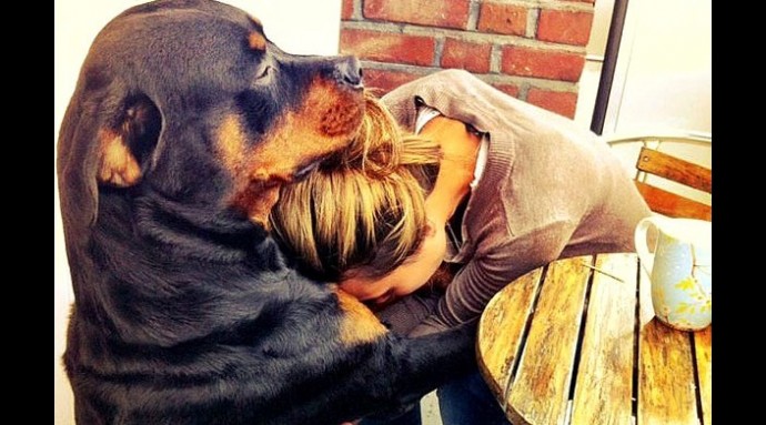 Big Dogs Give Big Hugs