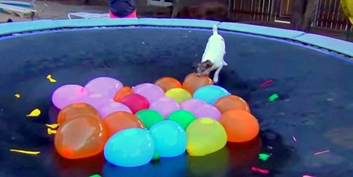 Spaz Kills All the Water Balloons on His Trampoline