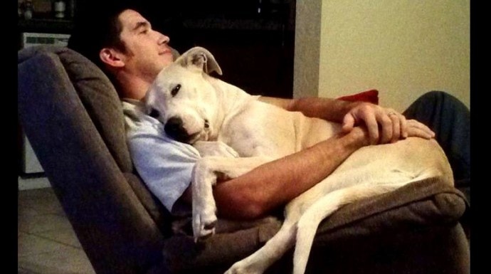 32 Dads Who Absolutely Adore Their Dogs