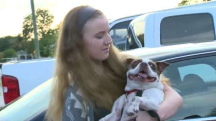 Dog Reunited With Family After Seven Year Separation