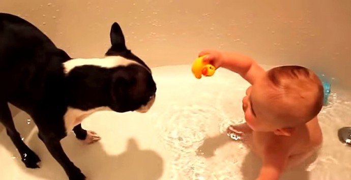 Bath Time Is ONLY Fun When There’s a Dog in the Tub