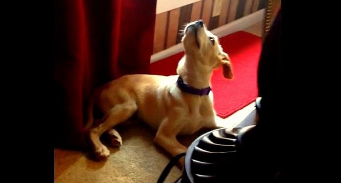 What the Heck Is Making That Sound?!?!