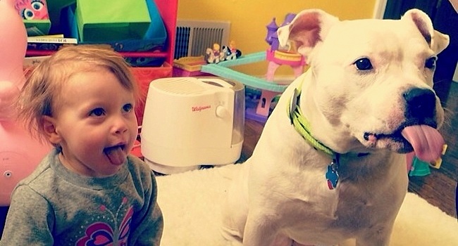 13 Ways Raising Kids and Dogs Is Exactly the Same