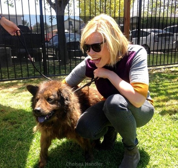 7.18.15 - Chelsea Handler Adopts New Dog0
