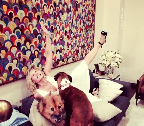 7.18.15 - Chelsea Handler Adopts New Dog7