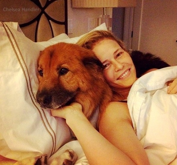 7.18.15 - Chelsea Handler Adopts New Dog9