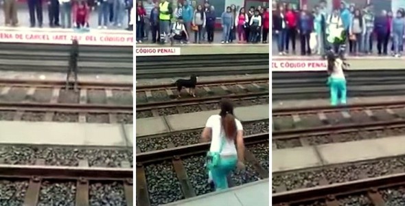 7.2.15 - Woman Saves Dog on Tracks