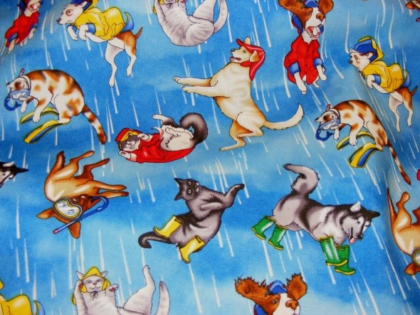 raining cats & dogs 7
